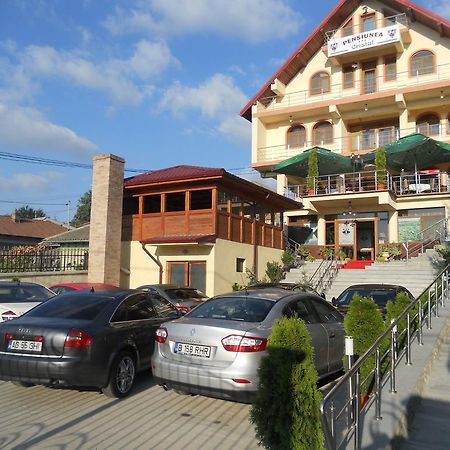 Pensiunea Cristal Тулча Екстериор снимка