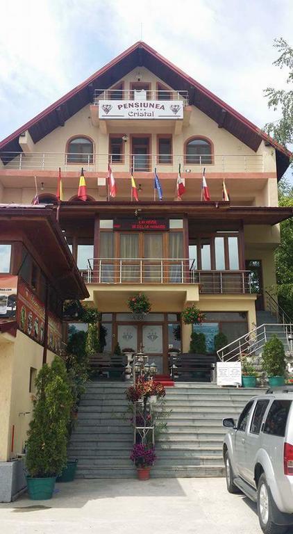 Pensiunea Cristal Тулча Екстериор снимка